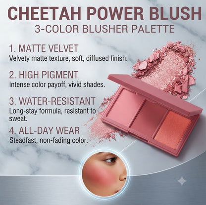 3 Shades Liquid Cheek Blush Matte Waterproof Long Lasting Buildable Pigmented Face Blush Daily Makeup For All Skin Tones
